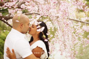 Engagement session at Kariya Park in Mississauga. Blooming cherry trees, japanese cherries mississaua, engagement photographer mississauga, wedding photogrpahy locations mississauga, engagement photo shoot location mississauga, brampton wedding photographer